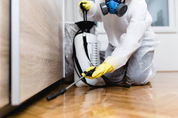 Professional Pest Control in Stepney, CT
