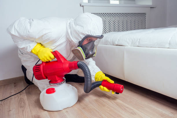 Best Flea Control Services  in Stepney, CT