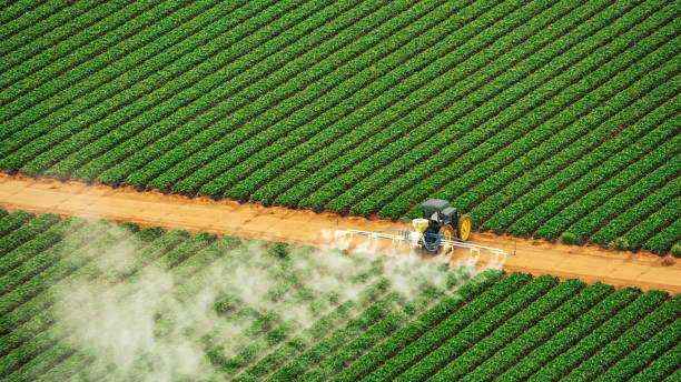 Best Pest Removal Services  in Stepney, CT